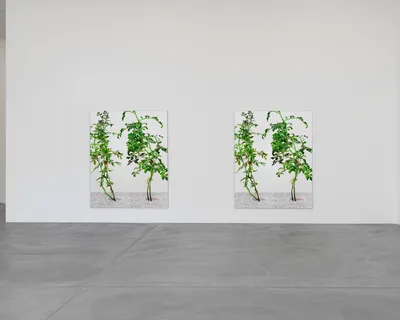 20150228 Alex Fischer 176000 mockup 09.jpg